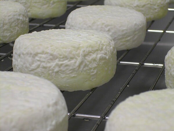 Prom Country Cheese - Sheep Sensation