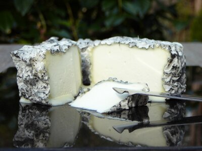 Red Hill Cheese, Victoria, Australia - Baa! Black