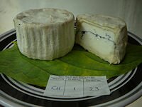 Red Hill Cheese Show