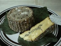 Red Hill Cheese Show