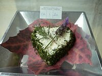 Red Hill Show Cheese Entry